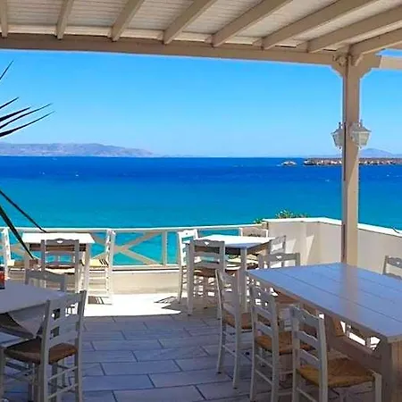 Hotel Blue Dolphin Fully Renovated By Rivea Group