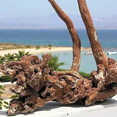 Blue Dolphin Fully Renovated By Rivea Group * Parikia (Paros)