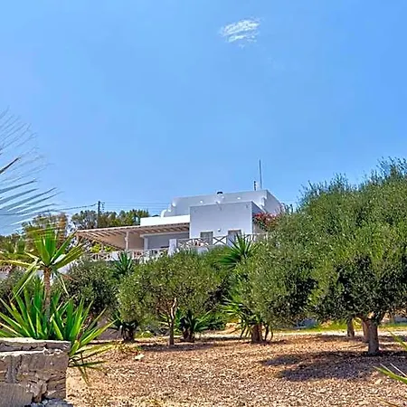 Blue Dolphin Fully Renovated By Rivea Group * Parikia (Paros)