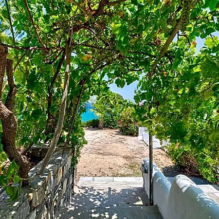 Hotel Blue Dolphin Fully Renovated By Rivea Group
