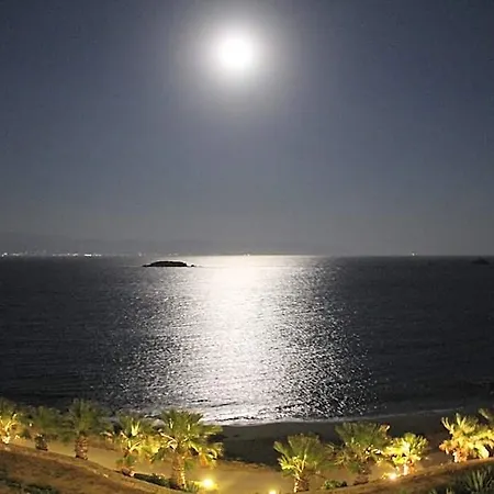 Blue Dolphin Fully Renovated By Rivea Group Hotel *