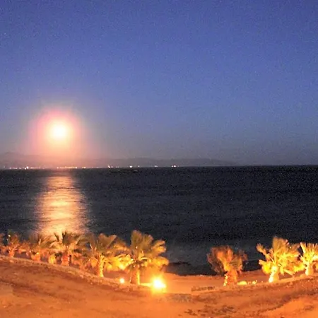 Blue Dolphin Fully Renovated By Rivea Group Hotel