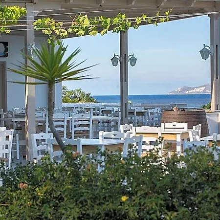 Hotel Blue Dolphin Fully Renovated By Rivea Group *